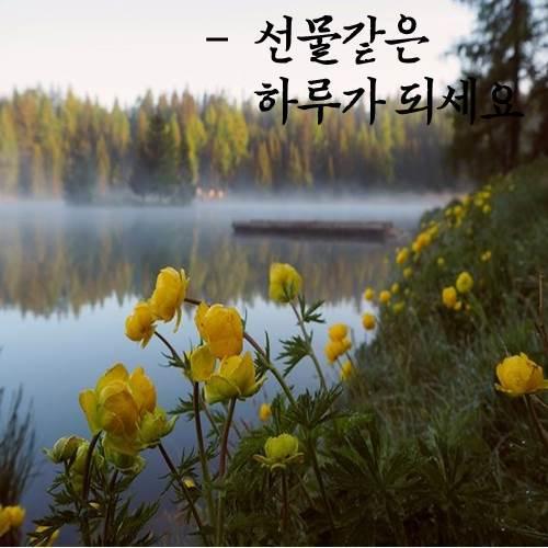 선물하루 이미지