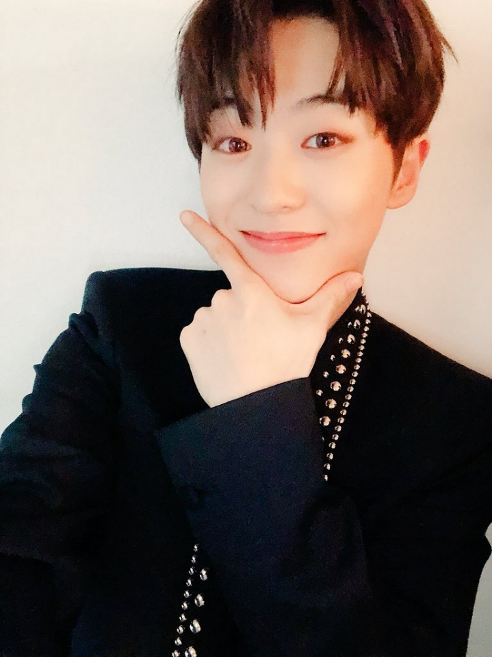 라운 이미지