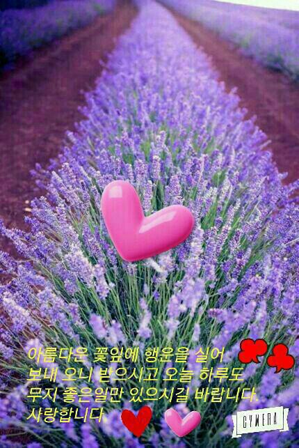 아리송 이미지