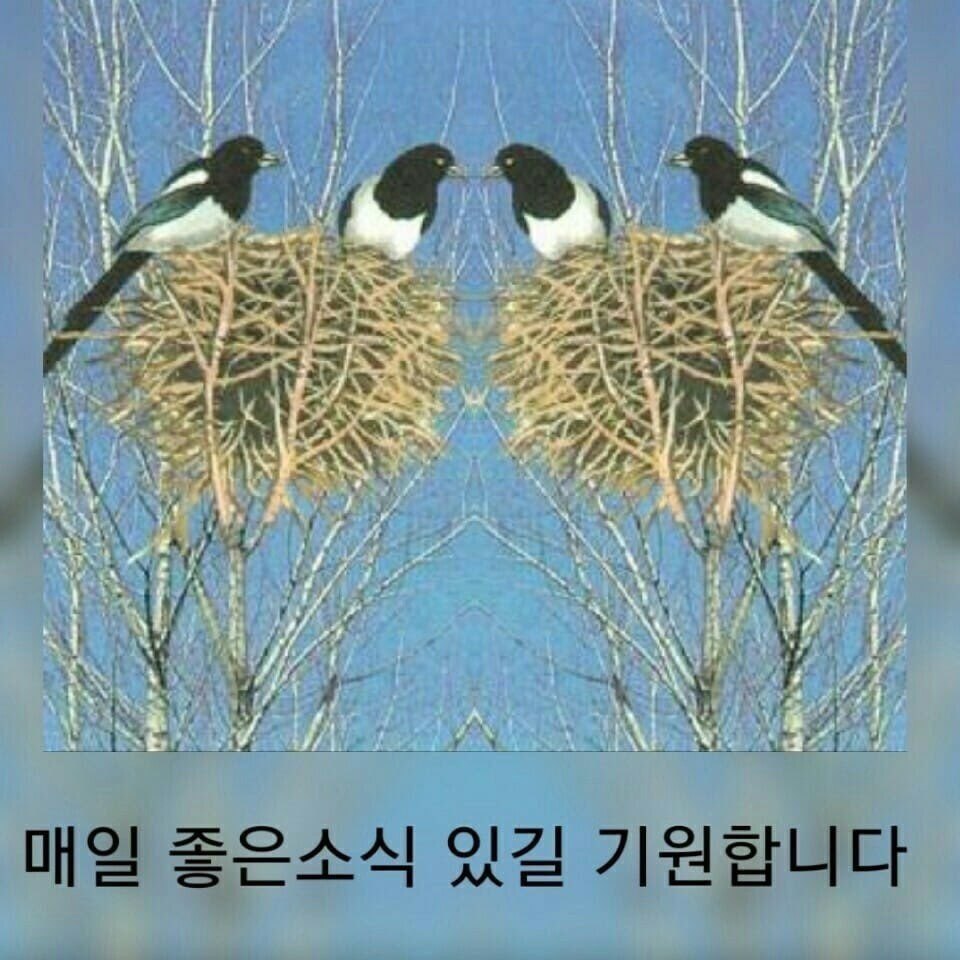 예쁜날 이미지