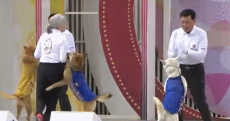 전국노래자랑 레전드 모음.gif | 인스티즈