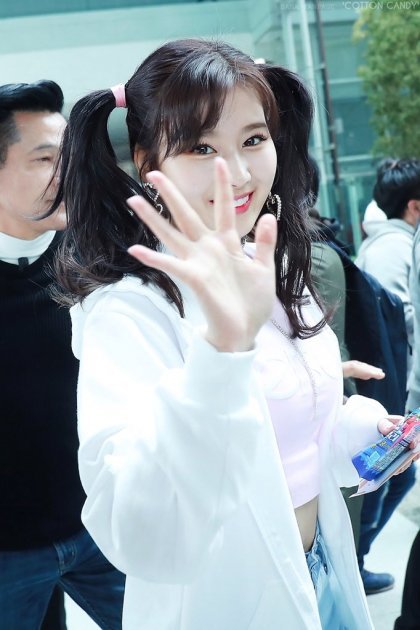 트와이스 나연 정연 사나 | 인스티즈