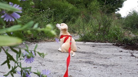 꽃내음 맡는 짱절미.jpg | 인스티즈