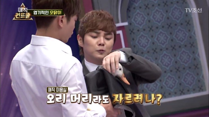 최현우 충격 엽기적인 동물마술 | 인스티즈
