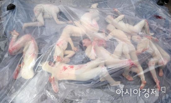 오늘자 동물단체 근황 | 인스티즈
